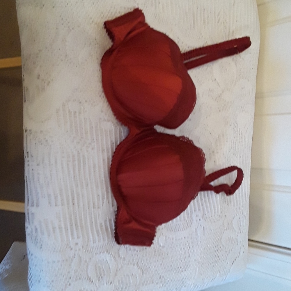 Stella McCartney red satin and lace bra